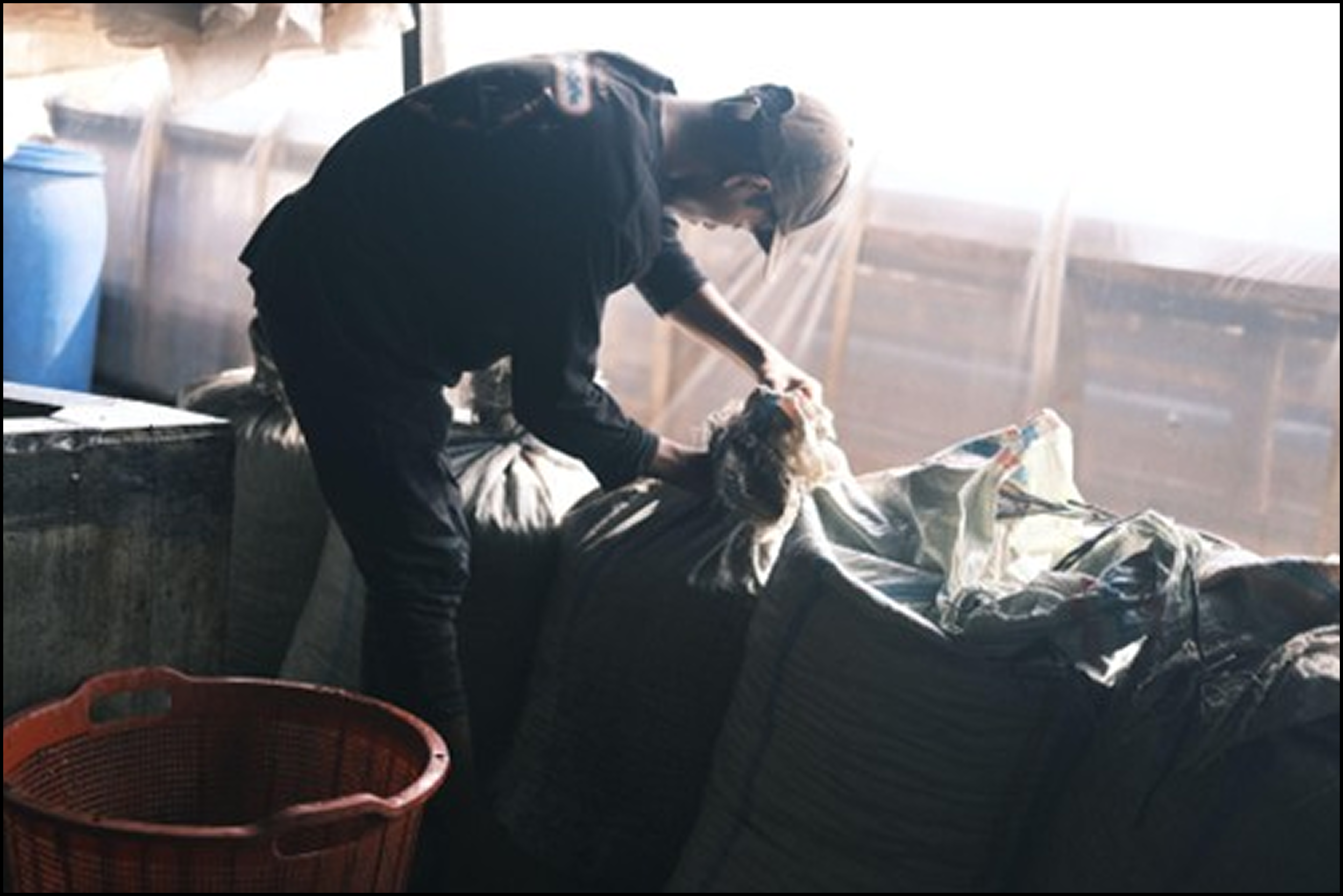 Kopi Fabriek and MosaiX: Strengthening Indonesia’s Coffee in the EUDR Era
